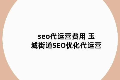 seo代运营费用 玉城街道SEO优化代运营